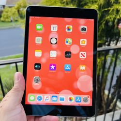 iPad Mini 2