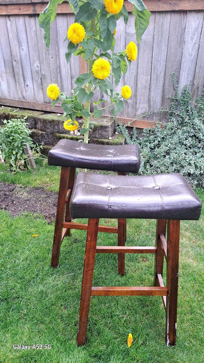 Saddle Type Bar Stools