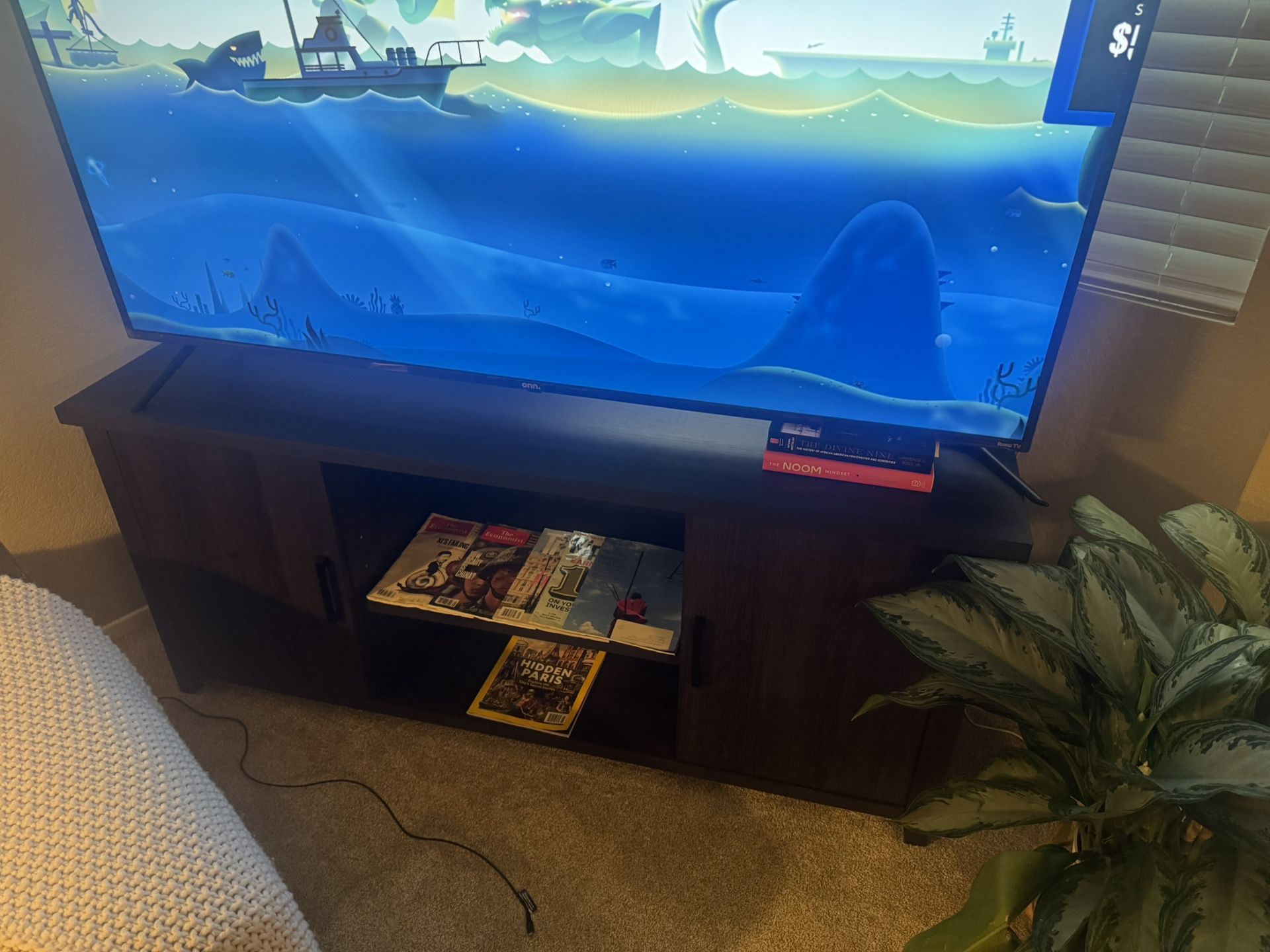 TV Stand