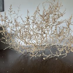 Tumbleweed For Decor (6 Of 7)