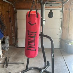 Everlast Powercore Dual Bag and Stand
