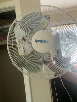 Fan