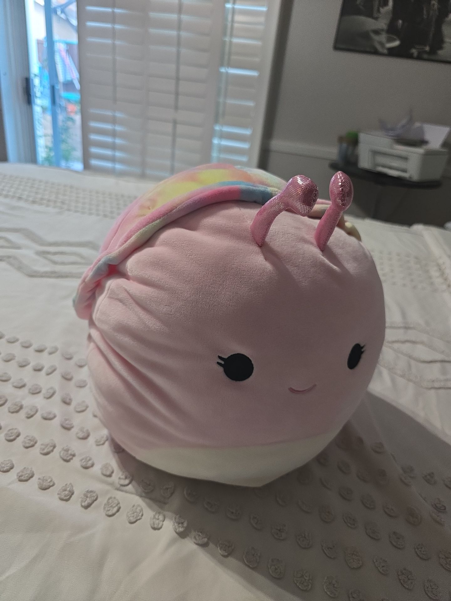 Silvina is a light pink snail
