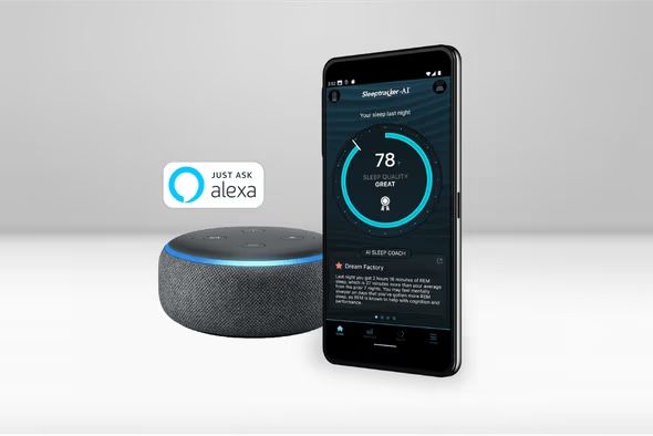 Twin Xl Tempur-Pedic Ergo Extend Premium Adjustable And Premium Sterns And Foster Mattress Package New-Or- Qn Adjustable And Mattress-queen Avacado