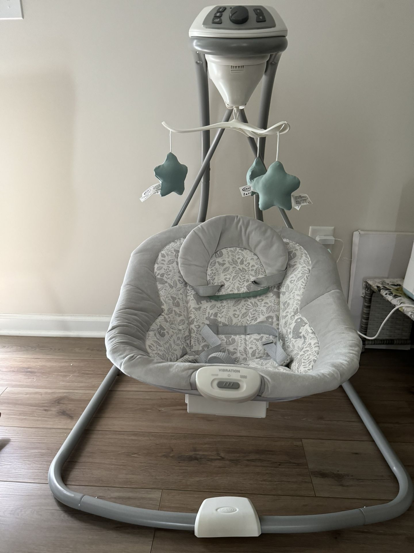 Graco Sway Swing
