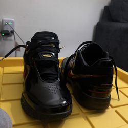 Nike LJ