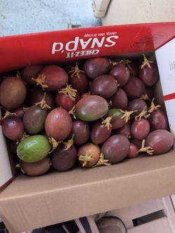 Big Sale Organic Passion Fruits,