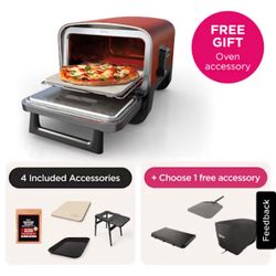 Ninja Woodfire Smoker 8-1