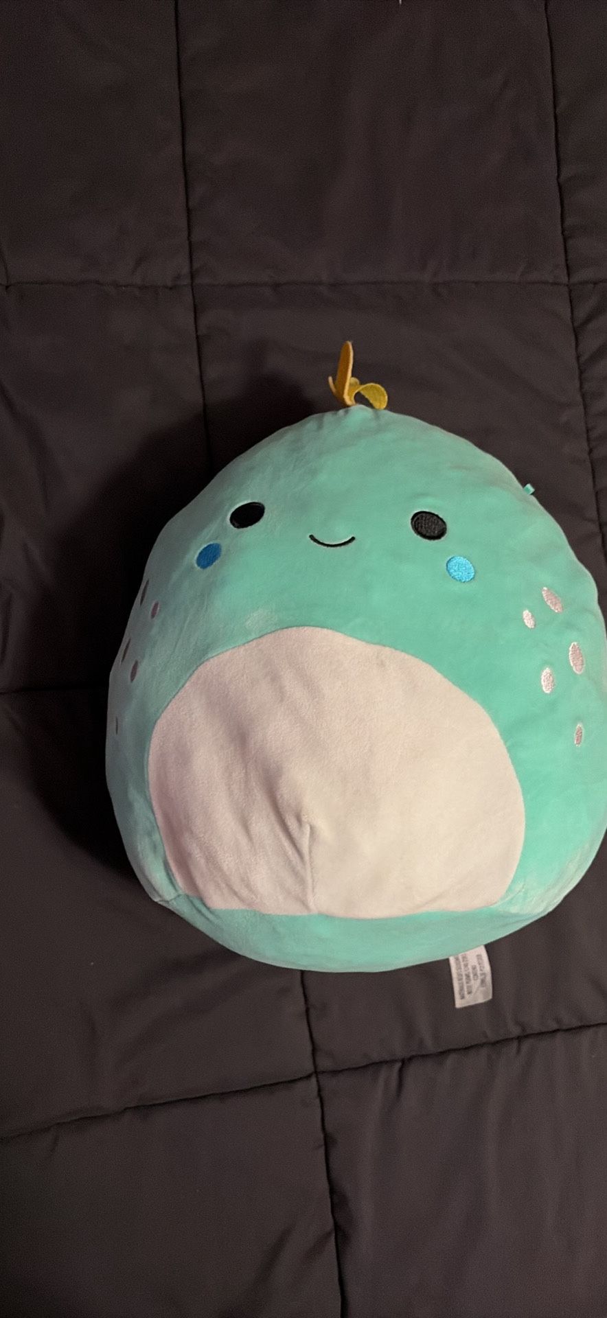 Chet The Iguana Squishmallow