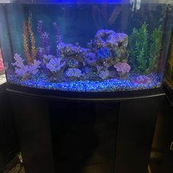 46 Gallon Bow-Front Aquarium With Filter And Decorations 