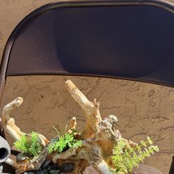 Fish Tank Decor