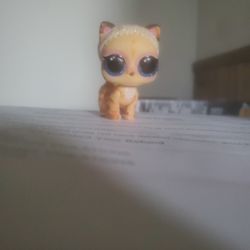 Lol Suprise Cat From 2018 Wave