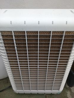 Window cooler