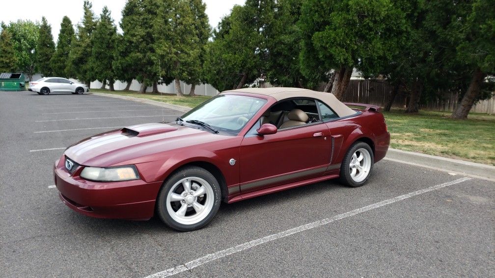 2004 Ford Mustang