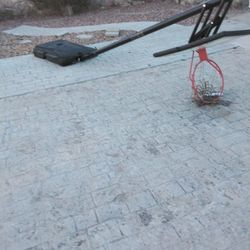 Lifetime Basketball Hoop