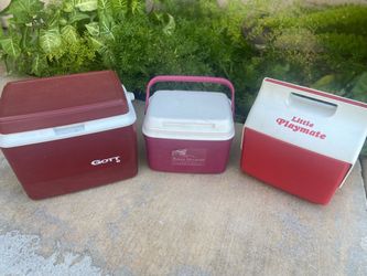 Selling 3 small lunch ice chest $10 each
