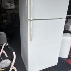 Clean Garage Fridge 