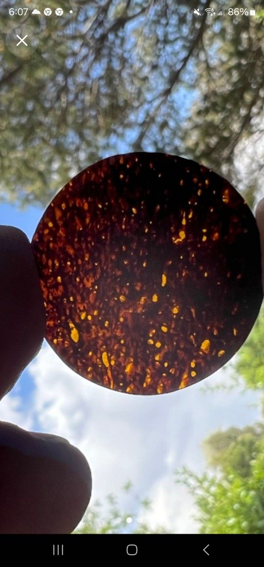 Dinosaur Bone & Mammoth Tooth Ivory 30mm Watch Dial Blank