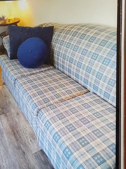 $250 SOFA (QUEEN SLEEPER) LOVE SEAT & PILLOWS