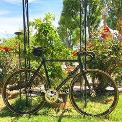 Dosnoventa Monte Carlo Frame Set 