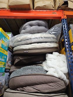 Dog Beds 