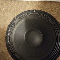Thornton T1001-3-4
10", peak of 220W at 4 ohms