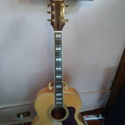 Fullerton Acoustic Guitar
