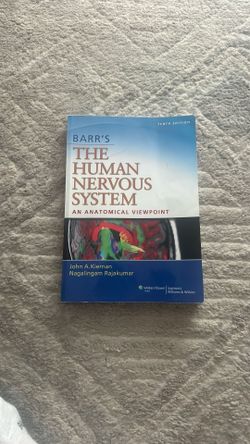 The Human Nervous System