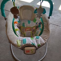 Baby Bouncer