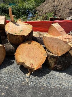 Free fire wood