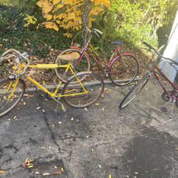 Vintage Bikes
