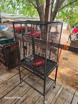 Bird cage