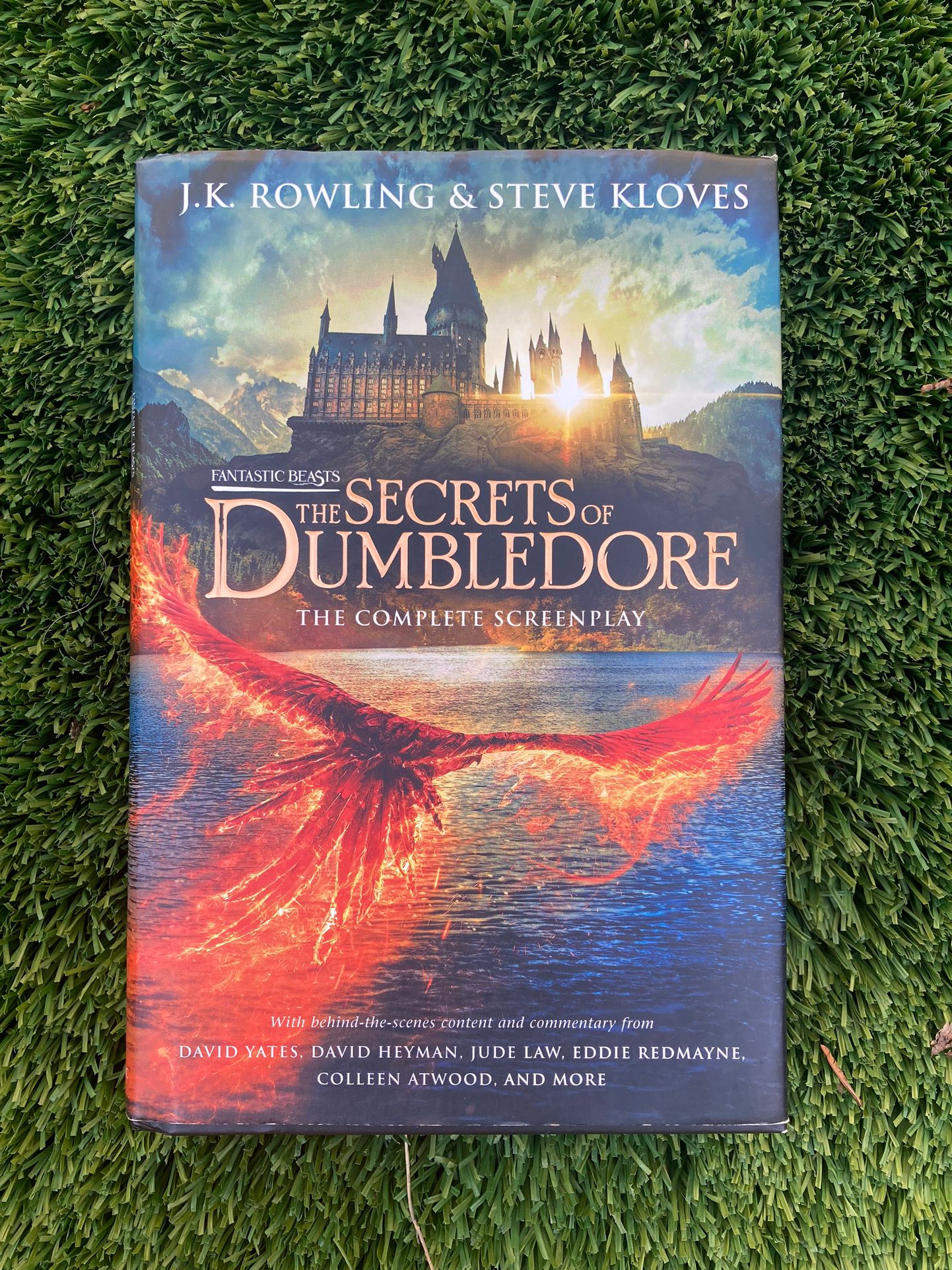 Fantastic Beast The Secrets of Dumbledore book