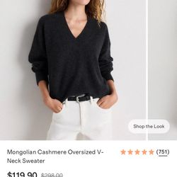 Quince Mongolian Cashmere Oversized V-neck Sweater