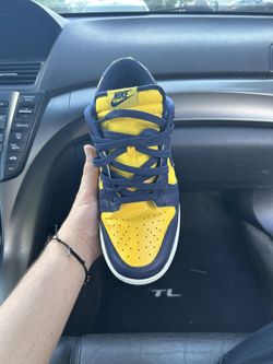 michigan dunks 