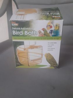 Bird Bath For Small Birds