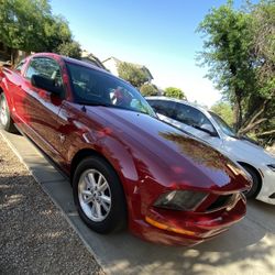 2009 Ford Mustang