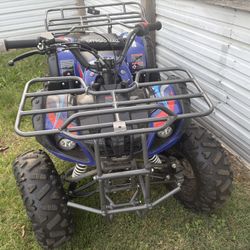 Quad Bull 125
