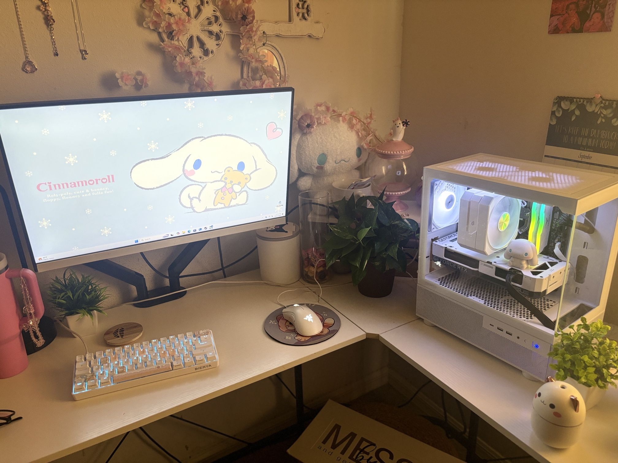 Gaming Set Up
