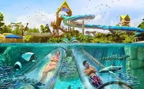 SeaWorld/Aquatica Tickets