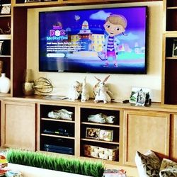 70in Sony TV