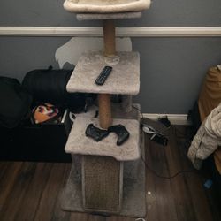 Cat Tree