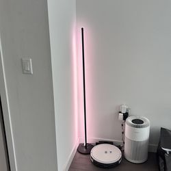 Govee Floor Lamp, RGBIC