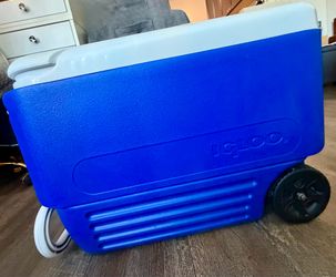 Cooler