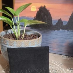 Mary Kay Suede Compact Cover DISCONTINUED 