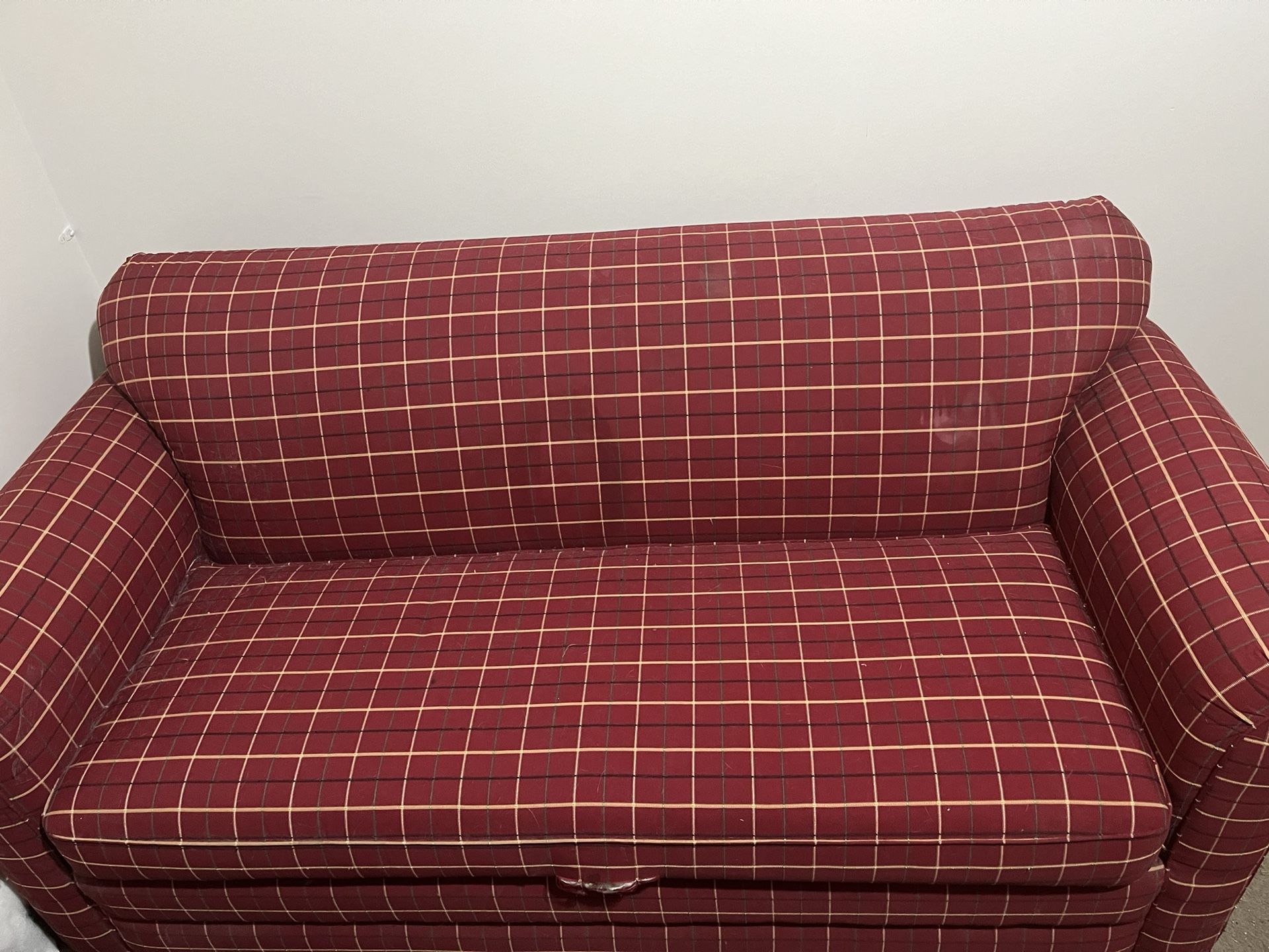 Couch W/ Pullout Bed
