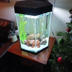 Aquarium 20 Gal