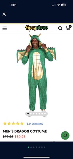 Dragon Costume