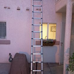 Telescopic Ladder