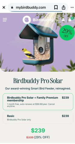 Camera birdhouse with solar, charging batteries
